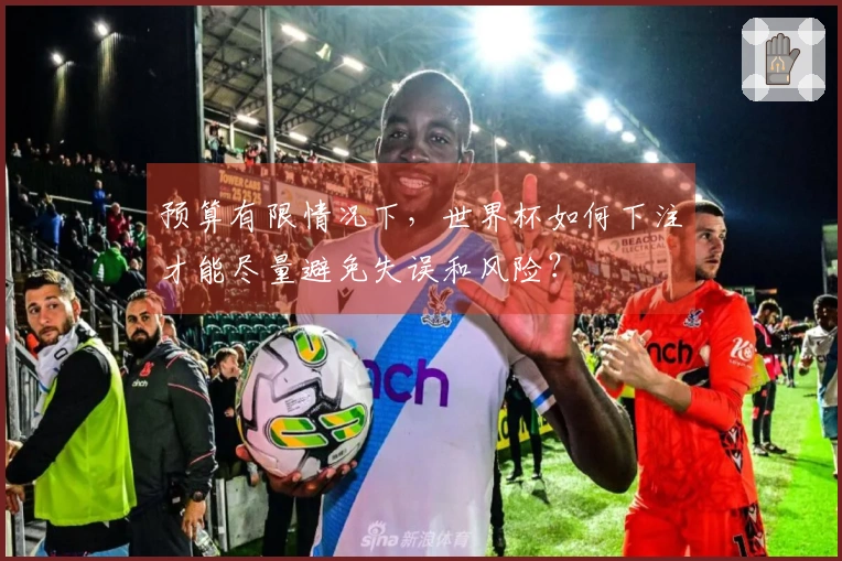 预算有限情况下，世界杯如何下注才能尽量避免失误和风险？