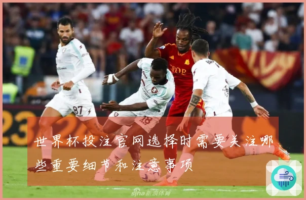 世界杯投注官网选择时需要关注哪些重要细节和注意事项