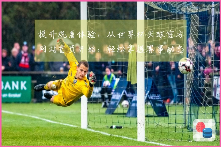 提升观看体验,从世界杯买球官方网站首页开始,轻松掌握赛事动态与功能介绍