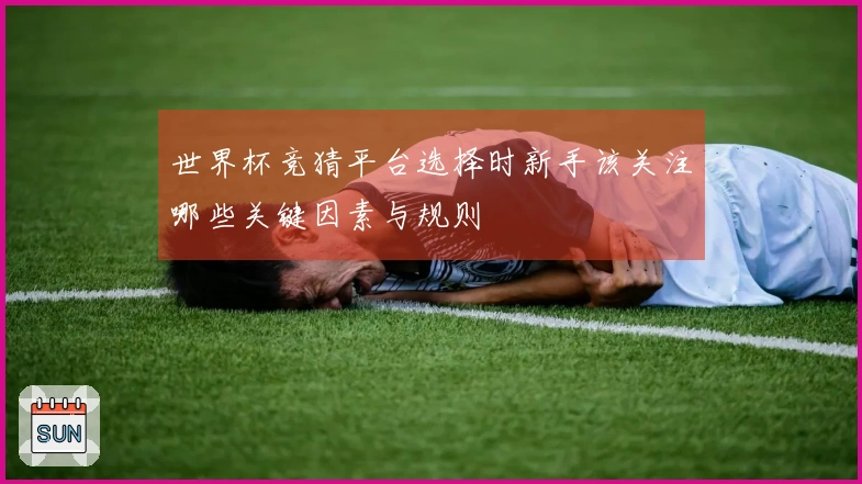 世界杯竞猜平台选择时新手该关注哪些关键因素与规则
