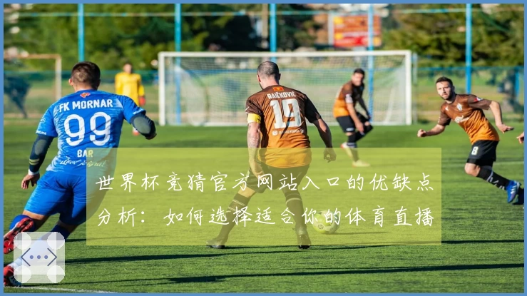 世界杯竞猜官方网站入口的优缺点分析：如何选择适合你的体育直播平台