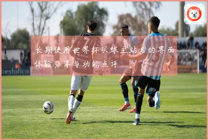 长期使用世界杯买球主站后的界面体验分享与功能点评