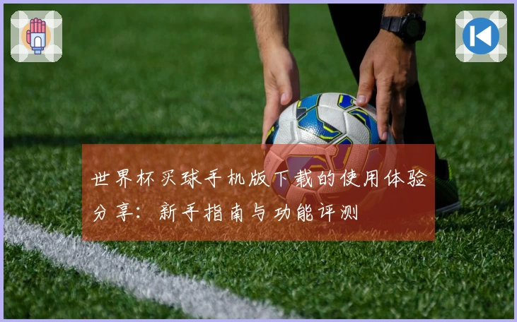 世界杯买球手机版下载的使用体验分享:新手指南与功能评测