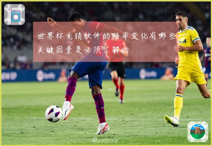 世界杯竞猜软件的赔率变化有哪些关键因素是必须了解的