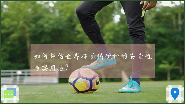 如何评估世界杯竞猜软件的安全性与实用性？