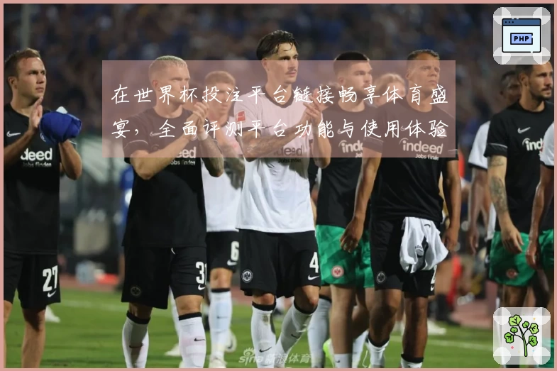 在世界杯投注平台链接畅享体育盛宴，全面评测平台功能与使用体验