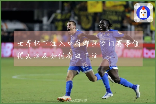 世界杯下注入口有哪些冷门赛事值得关注及如何有效下注