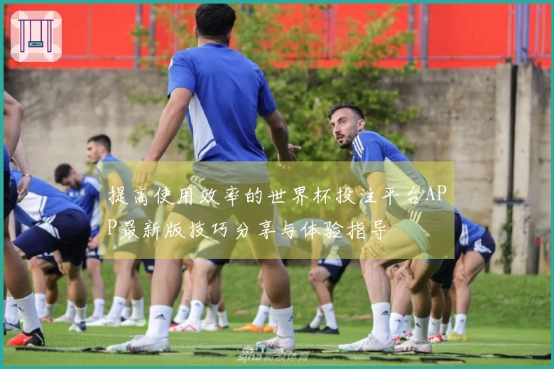 提高使用效率的世界杯投注平台APP最新版技巧分享与体验指导