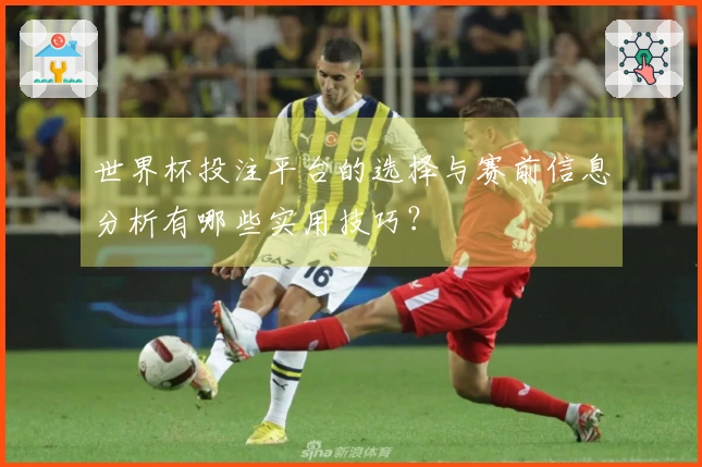 世界杯投注平台的选择与赛前信息分析有哪些实用技巧？