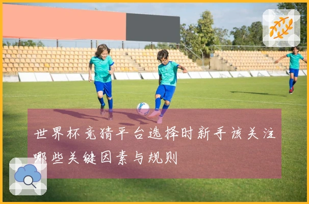 世界杯竞猜平台选择时新手该关注哪些关键因素与规则