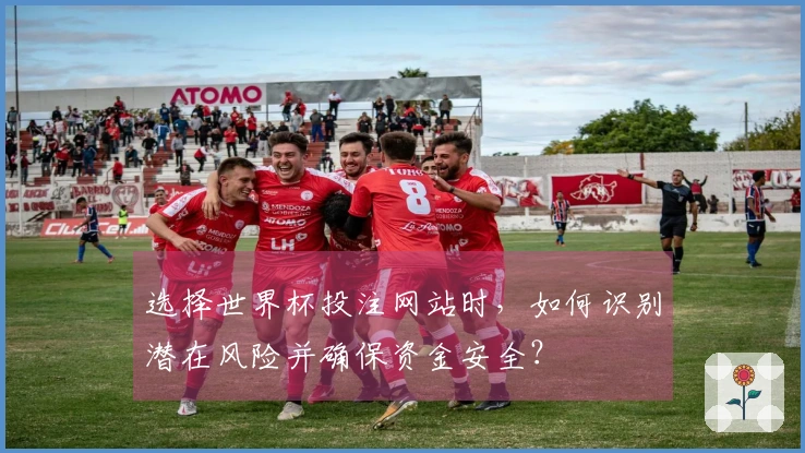 选择世界杯投注网站时，如何识别潜在风险并确保资金安全？