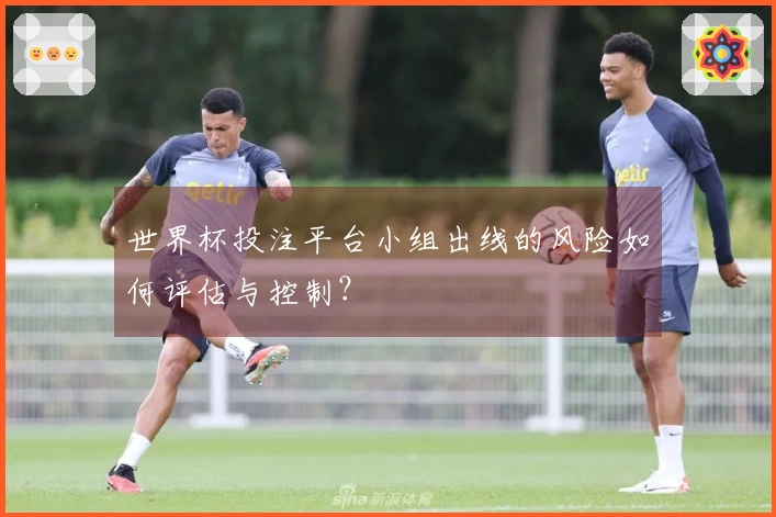 世界杯投注平台小组出线的风险如何评估与控制?