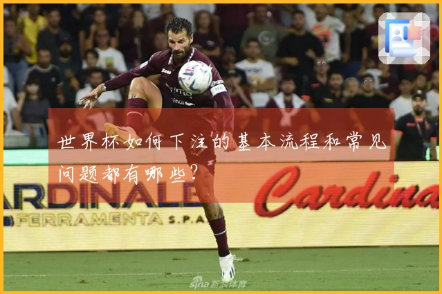 世界杯如何下注的基本流程和常见问题都有哪些？