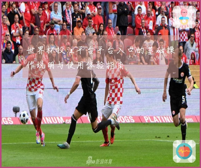 世界杯投注平台平台入口的基础操作说明与使用体验指南