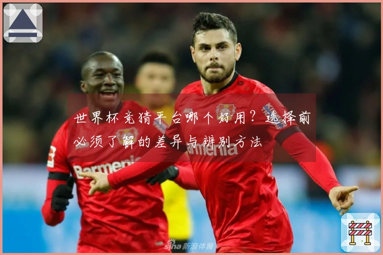 世界杯竞猜平台哪个好用?选择前必须了解的差异与辨别方法