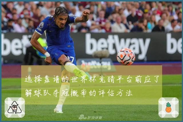 选择靠谱的世界杯竞猜平台前应了解球队夺冠概率的评估方法