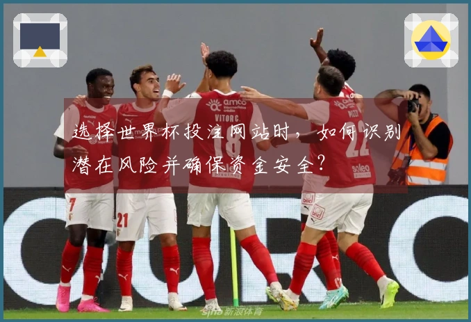 选择世界杯投注网站时，如何识别潜在风险并确保资金安全？
