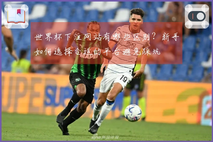 世界杯下注网站有哪些区别？新手如何选择合适的平台避免踩坑