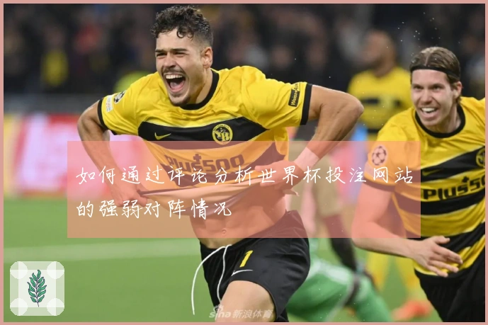 如何通过评论分析世界杯投注网站的强弱对阵情况